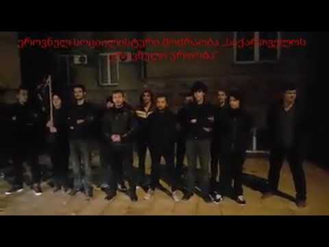 ეროვნულ სოციალისტური მოძრაობა ,, საქართველოს ეროვნული ერთობა\'